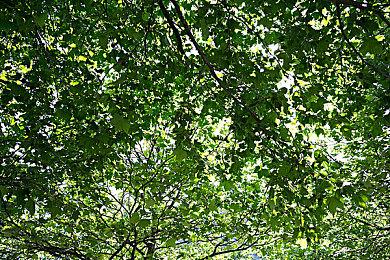 动视暴雪CEO控诉称索尼想要破坏微软收购案