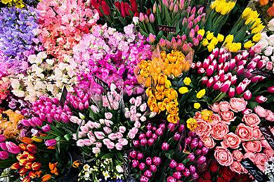 《我的世界：传奇》新预告 4月19日正式解锁